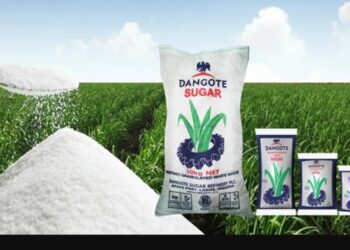 Mayar Da Kimar Noma, Dangote Ya Tallafawa Bikin Noman Shekara ta 2025