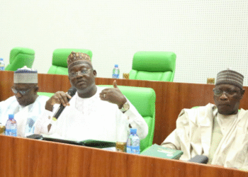 Majalisa Wakilai Ta Fara Cikakken Gyara Don Karfafa Bangaren Wutar Lantarki na Najeriya