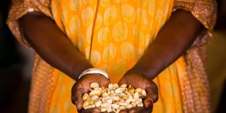 Yadda ƴaƴan cashew ke rage ƙiba da haɗarin kamuwa da ciwon zuciya